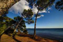 Mèze, près de Mourre Blanc