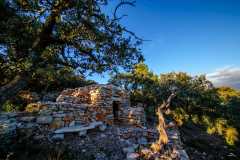 Poussan, sur les hauteurs